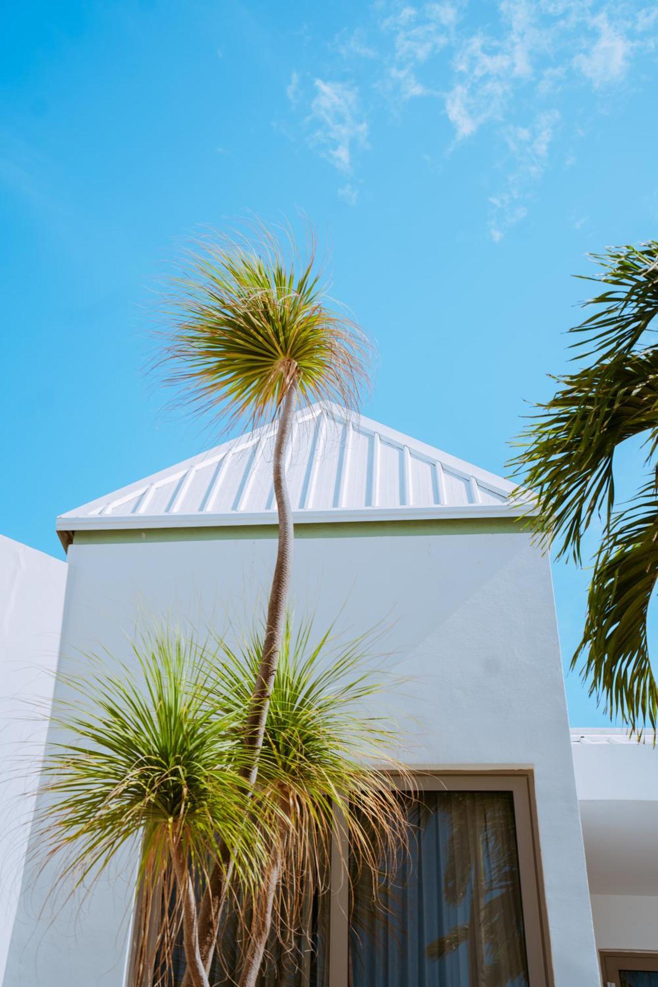 The Mill Resort And Suites Palm Beach Buitenkant foto